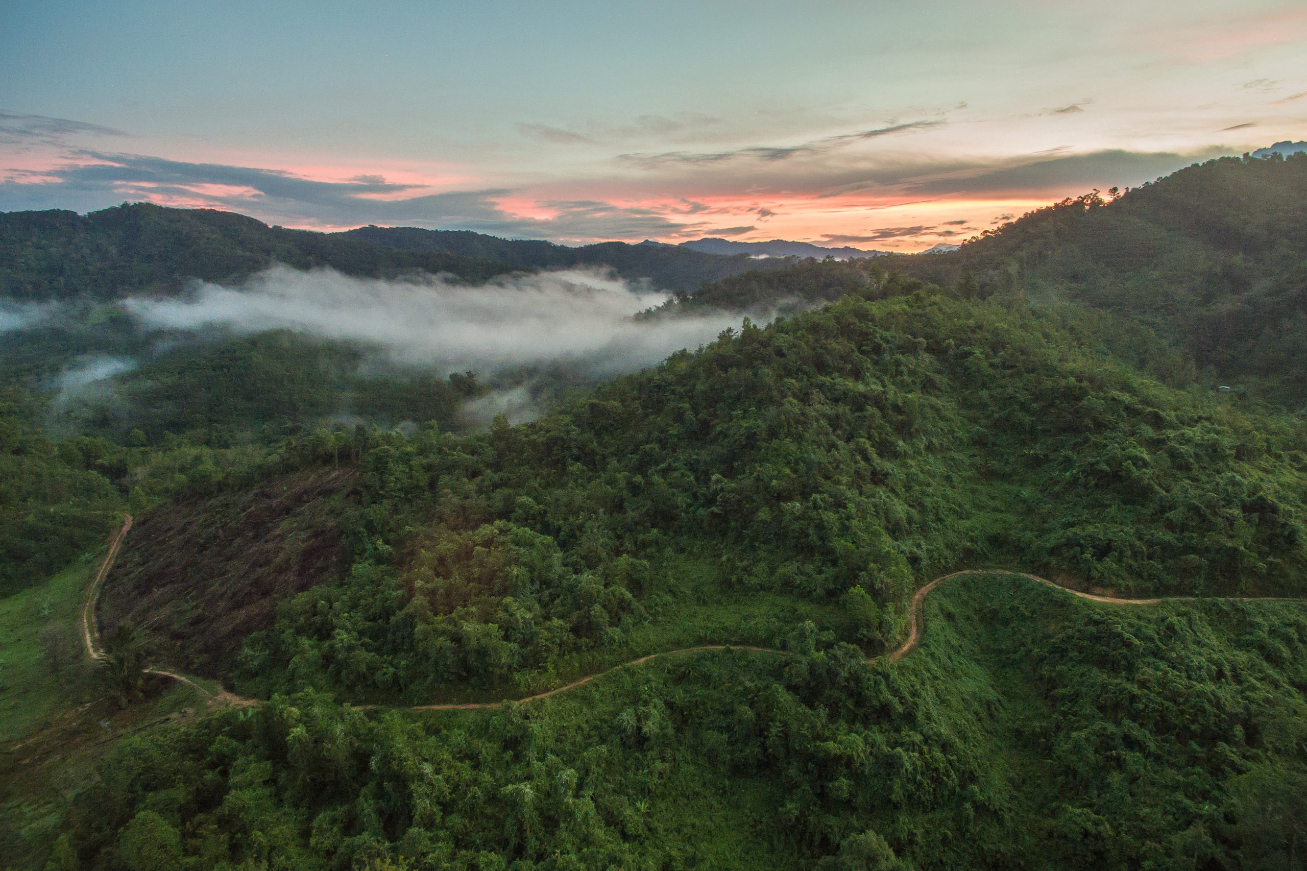 Misty tropical forest ridgelines at dawn